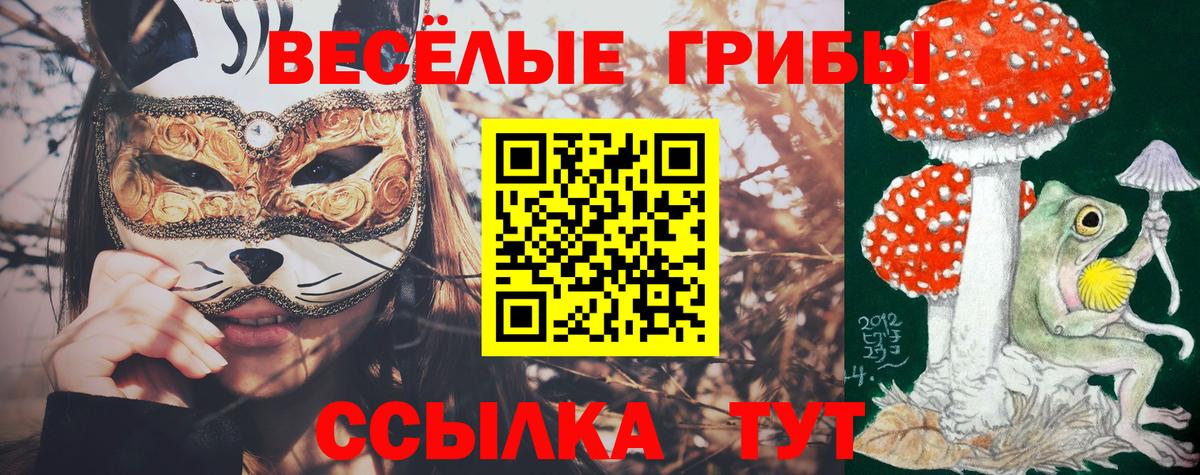 Псилоцибиновые грибы прущие грибы Новочеркасск