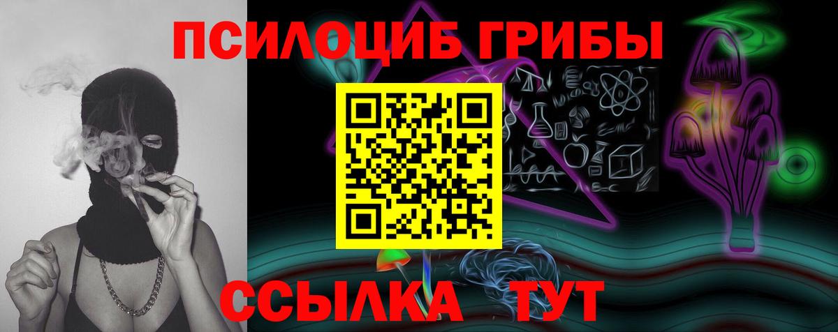 Новочеркасск  Галлюциногенные грибы Cubensis  Вход с VPN 